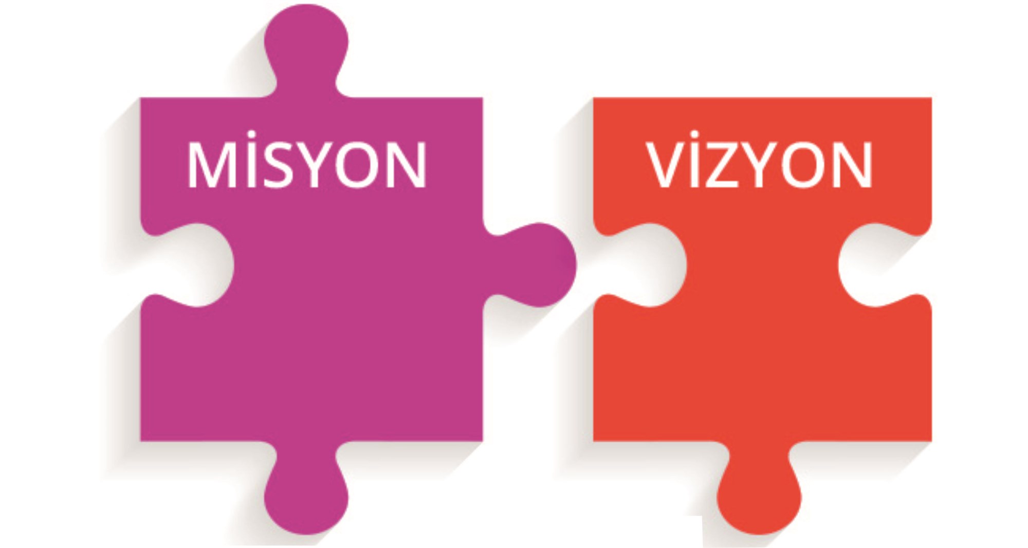 MİSYON  & VİZYON